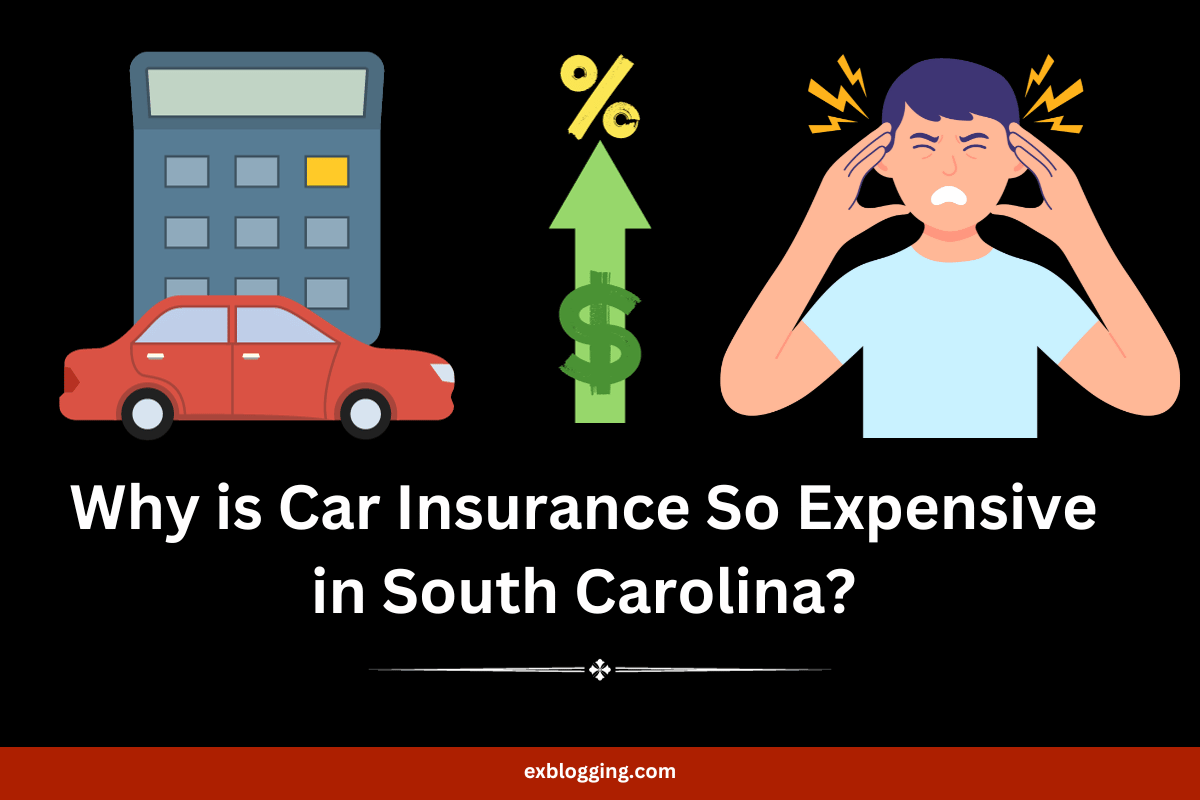 Why is Car Insurance So Expensive in South Carolina